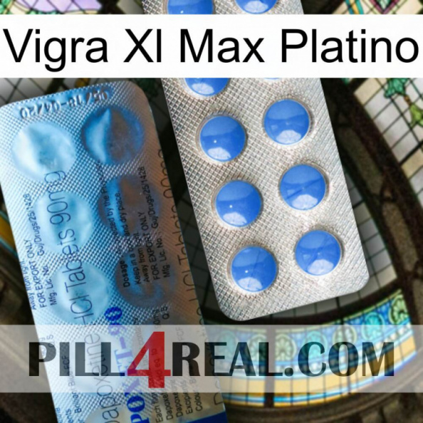 Vigra Xl Max Platinum 40.jpg